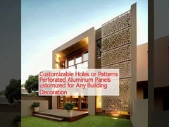 Panneaux en aluminium perforés personnalisables pour toute décoration de bâtiment